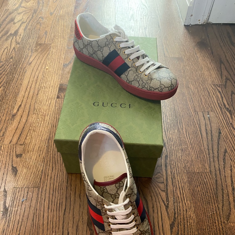New Ace GG Supreme Sneakers